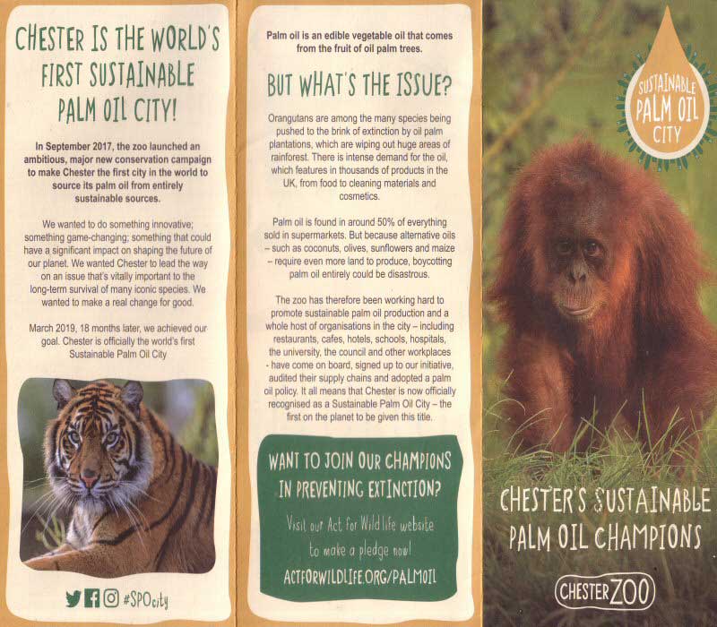 Sustainable Palm Oil City Page One